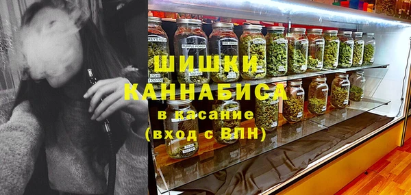 spice Богородицк